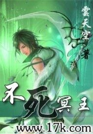 《不死冥王》作者:云天空