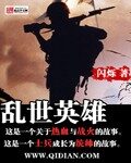 《乱世英雄》作者:闪烁