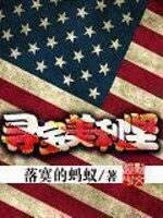 《寻宝美利坚》作者:落寞的蚂蚁