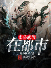 《光头武僧在都市》作者:易伤秋者
