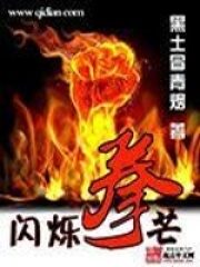 《闪烁拳芒》作者:黑土冒青烟