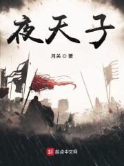 《夜天子》作者:月关