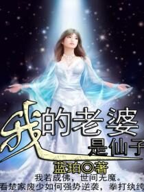 《我的老婆是仙子》作者:蓝珀