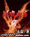 《流氓高手II》作者:无罪