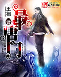 《最唐门》作者:王袍