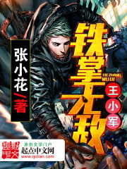 《铁掌无敌王小军》作者:张小花