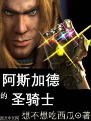 《阿斯加德的圣骑士》作者：想不想吃西瓜