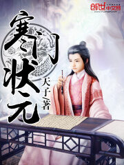 《寒门状元》作者:天子