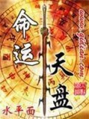 《命运天盘》作者:水平面