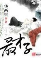 《最才子》作者: 华西里