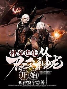 《神宠进化:从召唤神龙开始》作者:孤得寞宁