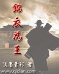 《锦衣为王》作者:淡墨青衫