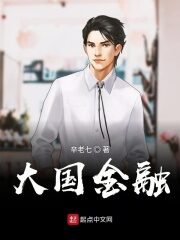 《大国金融》作者:辛老七