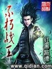 《不朽战王》作者:红黑路德