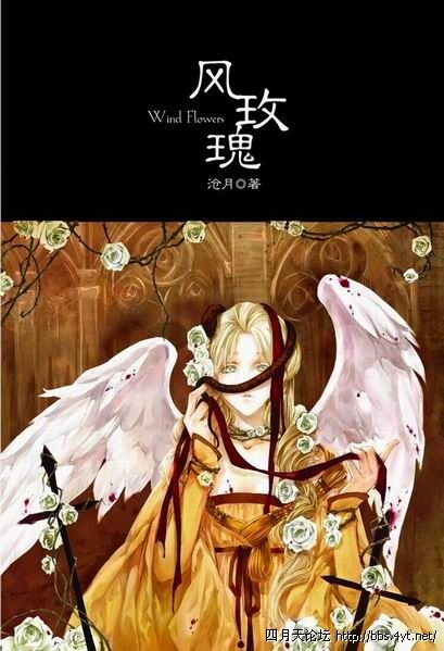 《风玫瑰》作者：沧月