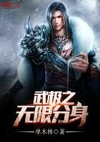 《武极之无限分身》作者:单木林