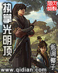 《执掌光明顶》作者:低调椰子