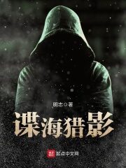 《谍海猎影》作者:眀志
