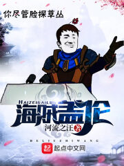 《海贼盖伦》作者:河流之汪