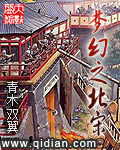 《黄金时代之大宋王朝》作者:归海求鱼