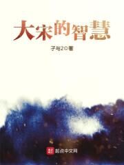 《大宋的智慧》作者:孑与2