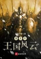 《国王的王国风云》作者:汉武小帝