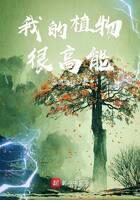 《我的植物很高能》作者：春风浪蝶