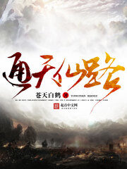 《通天仙路》作者:苍天白鹤