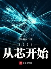 《1991从芯开始》作者:三分糊涂