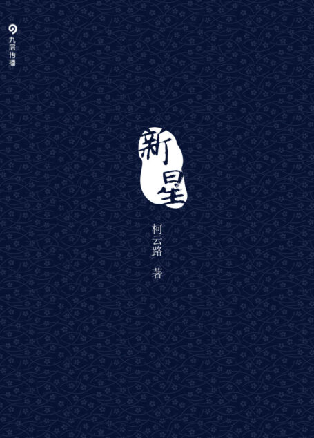 新星(中国第一部官场小说)