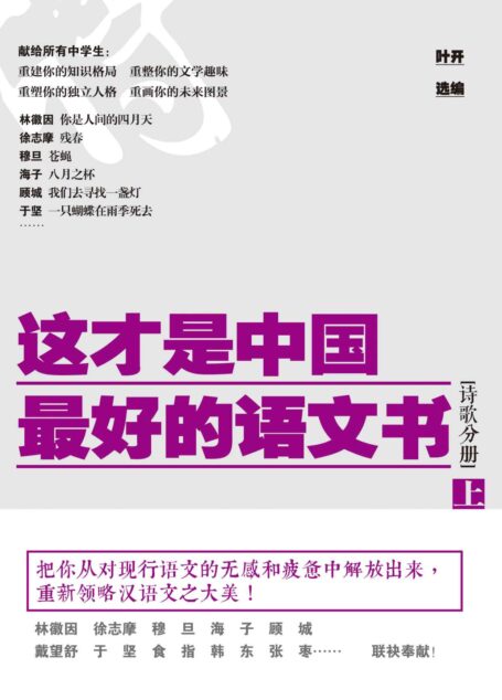 这才是中国最好的语文书（诗歌分册）上册