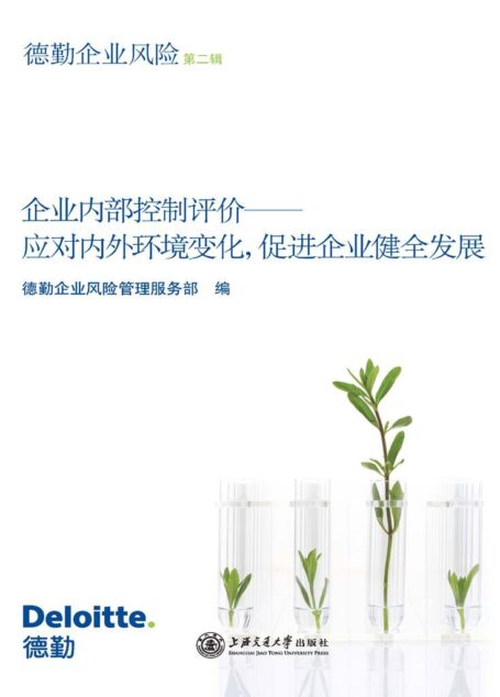 企业内部控制评价:应对内外环境变化,促进企业健全发展: 第2辑 (德勤企业风险)
