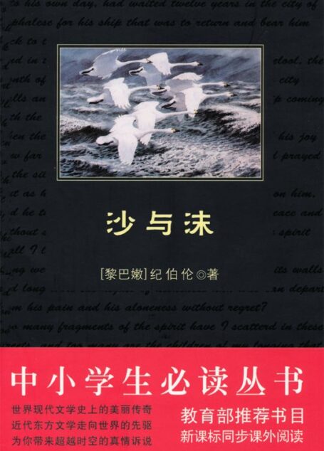 中小学生必读丛书:沙与沫