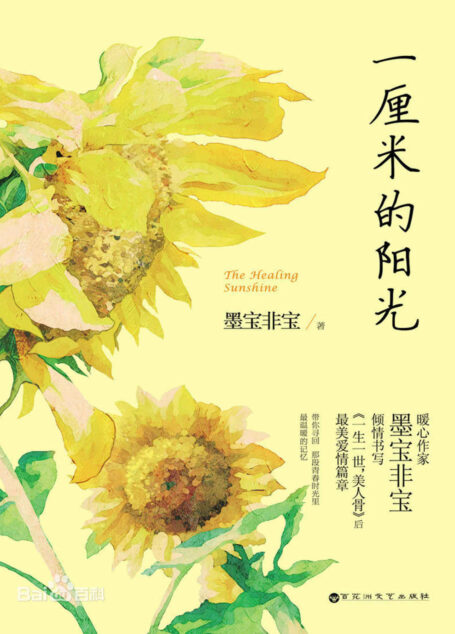 一厘米的阳光 (网络超人气言情小说系列)