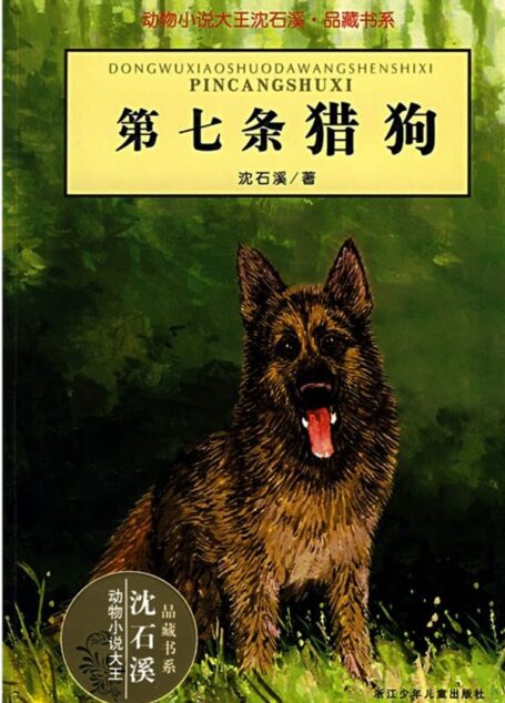 第七条猎狗 (动物小说大王沈石溪·品藏书系)