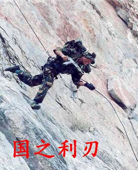 国之利刃
