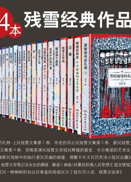 残雪经典作品集(24本套装)