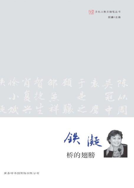 桥的翅膀 (文化人散文随笔丛书)