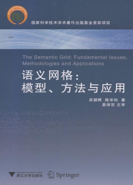 语义网格:模型方法与应用 (中国科技进展丛书)