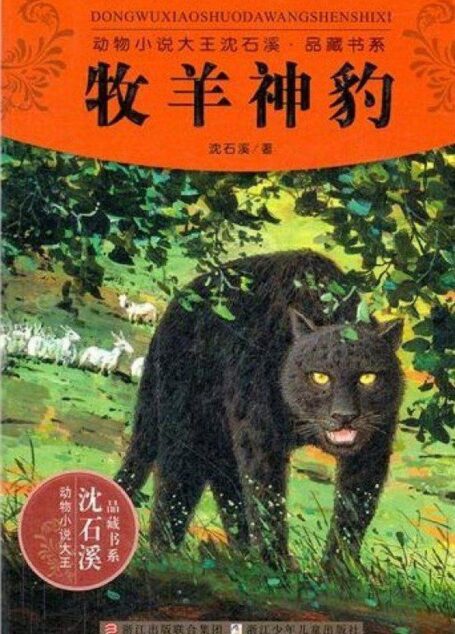 动物小说大王沈石溪品藏书系:牧羊神豹