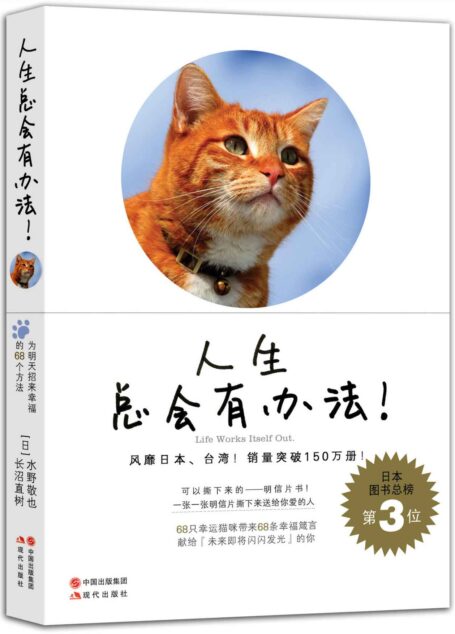 人生总会有办法 (最萌励志书!听猫咪跟你说,幸福必备的人生道理!风靡日本150万册!日本亚马逊网站5颗星推荐!)