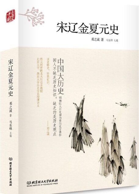 宋辽金夏元史 (中国大历史)