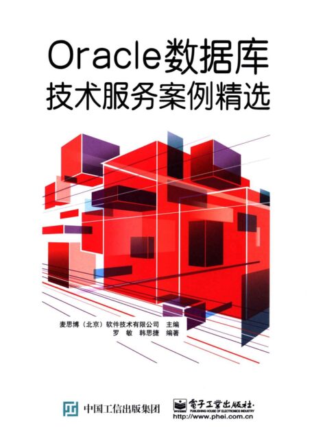Oracle数据库技术服务案例精选