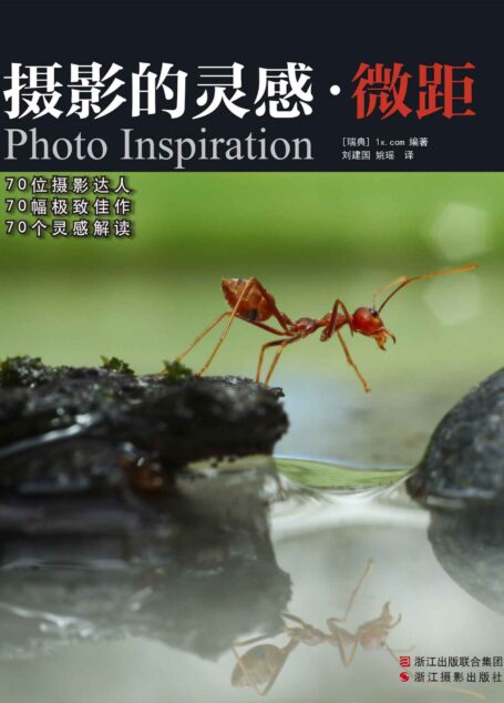 摄影的灵感·微距