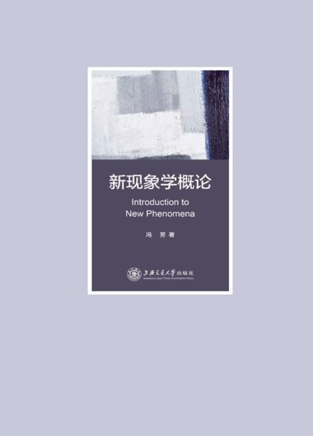 新现象学概论