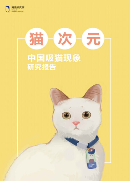 猫次元:中国吸猫现象研究报告