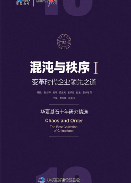 混沌与秩序1:变革时代企业领先之道