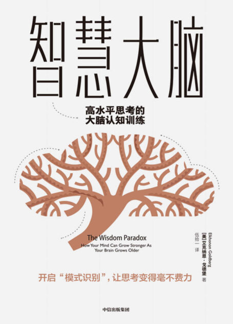 智慧大脑:高水平思考的大脑认知训练(开启“模式识别”,让思考变得毫不费力)