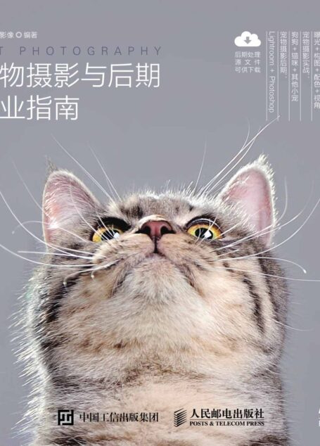 宠物摄影与后期专业指南