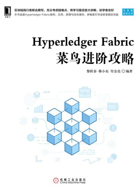 Hyperledger Fabric菜鸟进阶攻略 (区块链技术丛书)